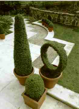 Topiary topiary topiary topiary topiary topiary topiary topiary topiary topiary.