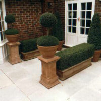 Formally pruned topiary bushes in planters against a brick house façade.