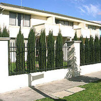 Tall & Narrow Screening