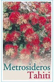 Book cover featuring a cluster of vibrant red Metrosideros 'NZ Christmas Tree' Tahiti flowers, commonly known as the NZ Christmas Tree, with the text "metrosideros tahiti" at the bottom.