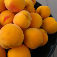 A bowl full of Prunus 'Golden Queen' Peach (Dwarf) Bare Rooted on a wooden table.