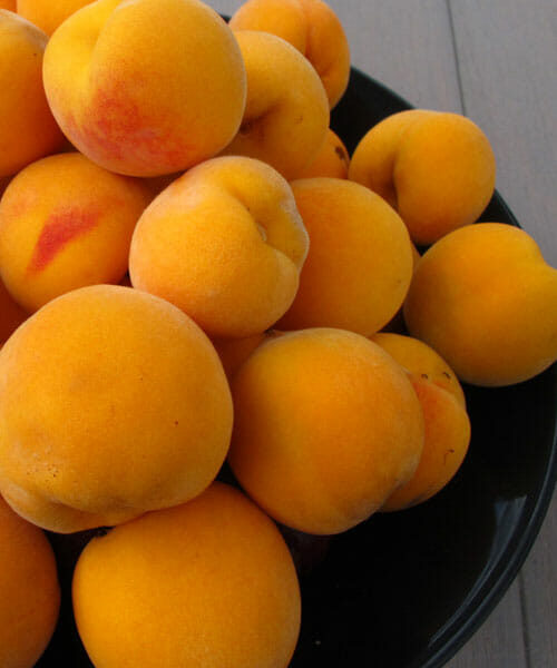 A bowl full of Prunus 'Golden Queen' Peach (Dwarf) Bare Rooted on a wooden table.