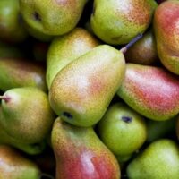 A pile of Pyrus 'Corella' Pears on a green background.