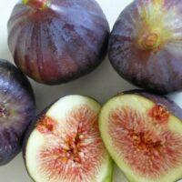 Ficus 'Black Genoa' Fig Tree 2L are cut in half and placed on a white surface.