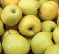 A pile of Malus 'Golden Delicious' Apples with slightly yellowish hues, reminiscent of those from golden delicious apple trees, closely packed together.