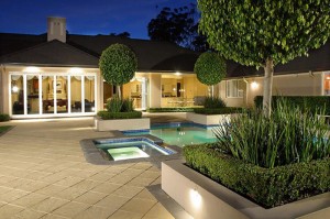 Standard Ficus Frame a Swimming Pool