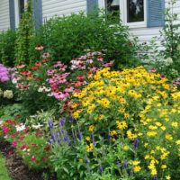 Cottage Plants Package 10 x 8" Pot