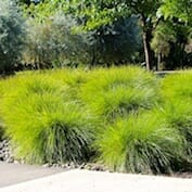 A grassy area in front of a building.