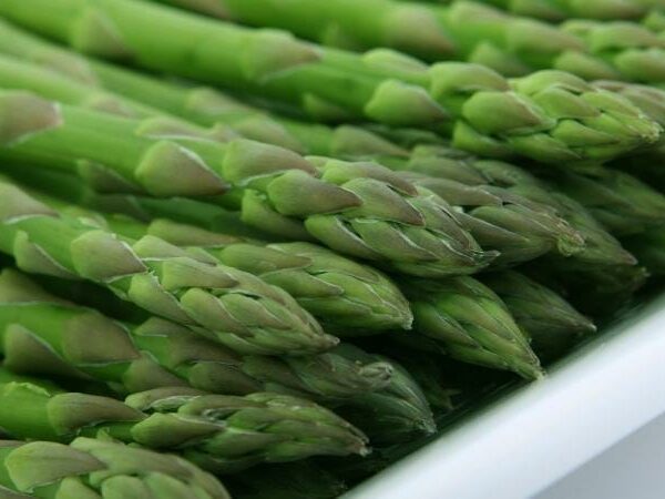 Asparagus