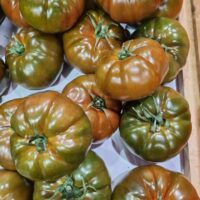 A crate filled with green and brown heirloom tomatoes, featuring the unique Tomato 'Black Russian' 4" Pot, enhances the rustic charm of the display.