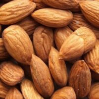 Close-up of a pile of raw, unpeeled Prunus 'Johnson's Prolific' Almond 12" Pot in their shells, displaying their brown, textured surfaces.