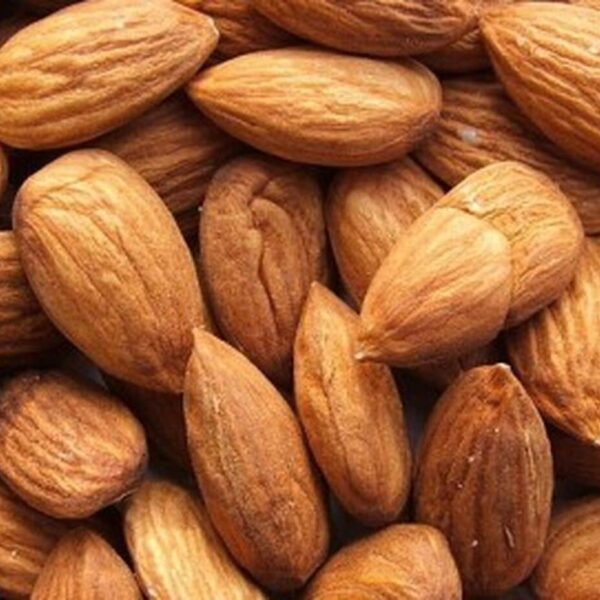 Close-up of a pile of raw, unpeeled Prunus 'Johnson's Prolific' Almond 12" Pot in their shells, displaying their brown, textured surfaces.