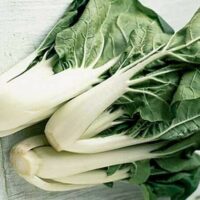 A trio of Pak Choi 'White' Baby Bok Choi plants, with their distinctive white stalks and lush green leaves, are arranged gracefully on a light surface, highlighting their vibrant allure.