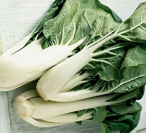 A trio of Pak Choi 'White' Baby Bok Choi plants, with their distinctive white stalks and lush green leaves, are arranged gracefully on a light surface, highlighting their vibrant allure.