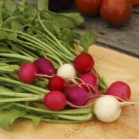 A cluster of Radish 'Lollipop' from a 4-inch pot, displaying an array of bright colors and green leaves, laid out on a wooden cutting board.