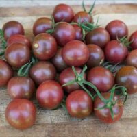 A collection of dark red tomatoes with green stems, matching the rich colors of the Tomato 'Black Cherry' 4" Pot, lies on a wooden surface.