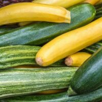A basket filled with Zucchini 'Green and Gold' from a 4" pot, ready to add vibrant flavor to your meal.