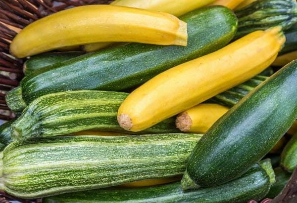 A basket filled with Zucchini 'Green and Gold' from a 4" pot, ready to add vibrant flavor to your meal.
