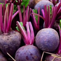 A close-up view of several Beetroot 'Baby' plants in a 4" pot, showcasing their vibrant purple-red stems and leaves.