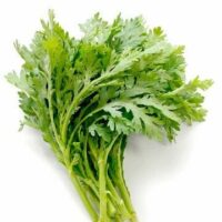 A collection of vibrant Chop Suey Greens 'Shungiku' displayed against a pristine white background.