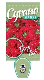 The Verbena Cyrano™ 'Deep Red' 6" Pot plant label shows a cluster of deep red flowers with green leaves in the background and features "Deep Red" prominently.