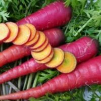 Cosmic Purple carrots from a 4" pot, featuring leafy tops and an orange interior, are arranged on a surface with one sliced to reveal its inside.