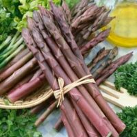 A 4" pot labeled Asparagus 'Purple,' tied with twine, rests alongside vibrant green herbs and a bottle of olive oil.