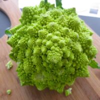 A vibrant Broccoli 'Romanesco' 4" Pot, with its mesmerizing fractal patterns, sits elegantly on a wooden cutting board, ready to transform any dish into a culinary masterpiece.