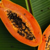 A halved Paw Paw 'Red' papaya from a 6" pot rests elegantly on a large green leaf backdrop, its black seeds glistening.
