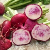 Sliced 'Hida Beni Red' watermelon radishes, known for their pink centers and rough red-purple skin, are elegantly arranged on a wooden surface, offering a vibrant contrast akin to the earthy allure of turnips.