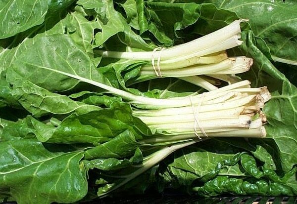 Fresh Silverbeet 'Swiss' Chard with long white stems and large leaves, available in a 4" pot.