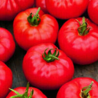 Several ripe, red 'Burnly Bounty' tomatoes with green stems rest on a wooden surface, highlighting their vibrant freshness.