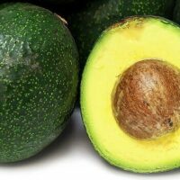 Close-up of whole and halved Persea 'Reed' Avocado 4L Pot revealing the seed and creamy green flesh.
.