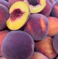 Prunus 'O'Henry' Peach Dwarf