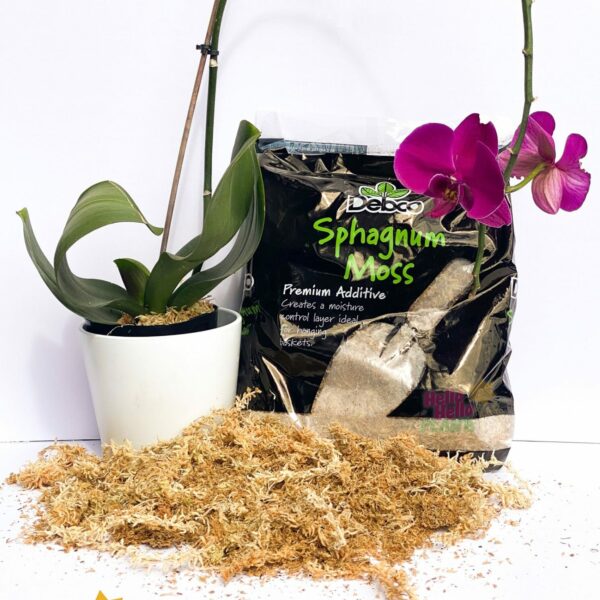 sphag moss watermark