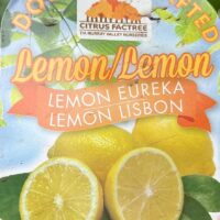 Plant tag for Citrus 'Eureka Lemon x Lisbon Lemon' Double Graft 10" Pot, displaying images of both Eureka and Lisbon Lemon varieties, indicates double grafted stock from Citrus Factree nursery.