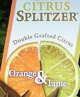 A sign labeled "Citrus Splitzer 'Lime and Orange' 4L Pot" shows half an orange and half a lime, showcasing this unique double-grafted plant that combines both lime and orange in one.
