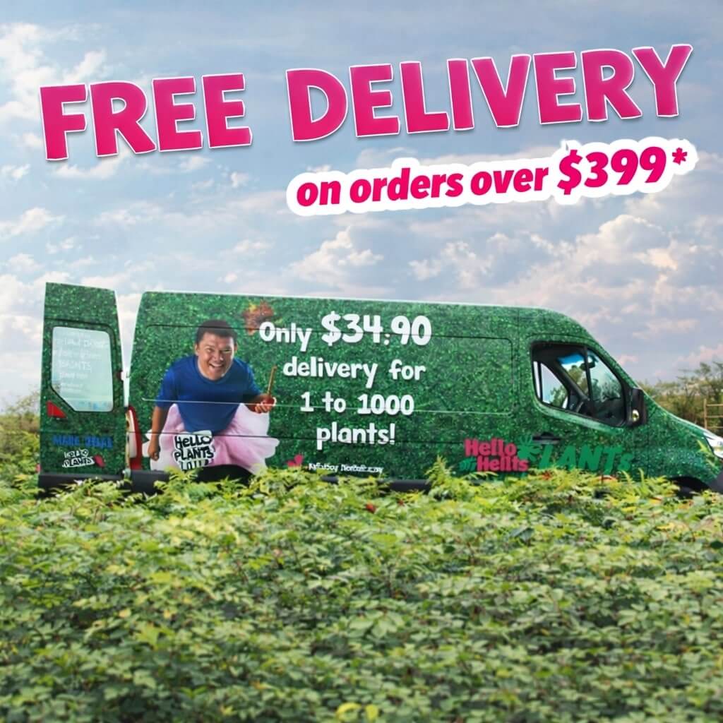 A green delivery van with plant graphics advertises free plant delivery on orders over £399 and £34.90 for 1 to 1000 plants. The van is parked in a lush field of green plants.