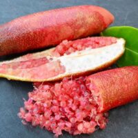 Bush Tucker Native Bush Foods Citrus australasia Native finger lime pink fruits