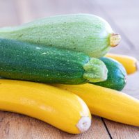 Zucchini 3 colour blend mixed colours Cucurbita pepo edible vegetables