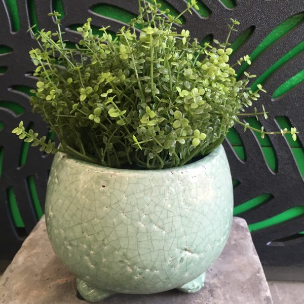 Tang Bowl with Feet Green DECORATIVE POT FOR FEATURE PLANTS