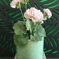 Tang cylinder feature pot green for feature plants grazed pots green with pink flowers and green leaves