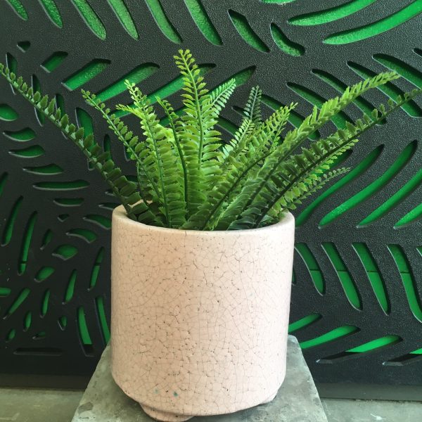 Tang Cylinder Pot Rose Pink DECORATIVE POT FOR FEATURES POTTED PLANTS GLAZED POTS WITH PLANTED GREEN FERN