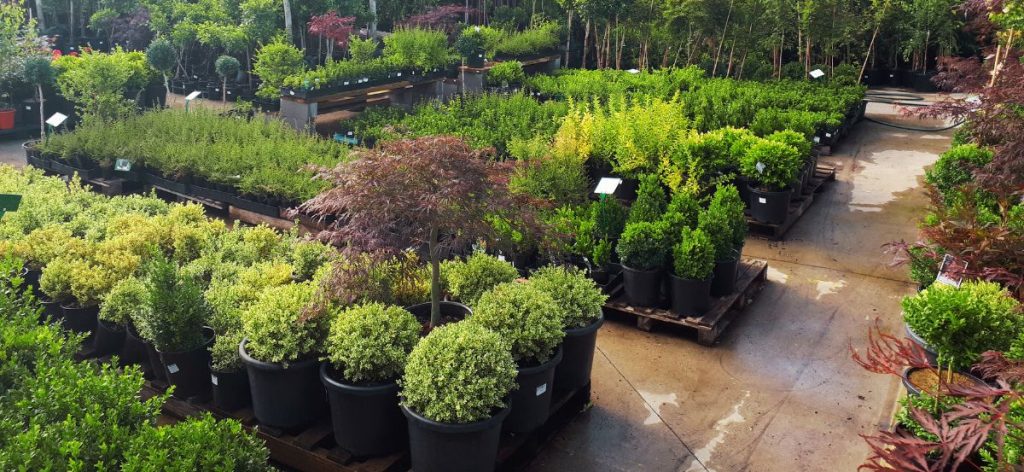 Many modern potted plants in a garden center.