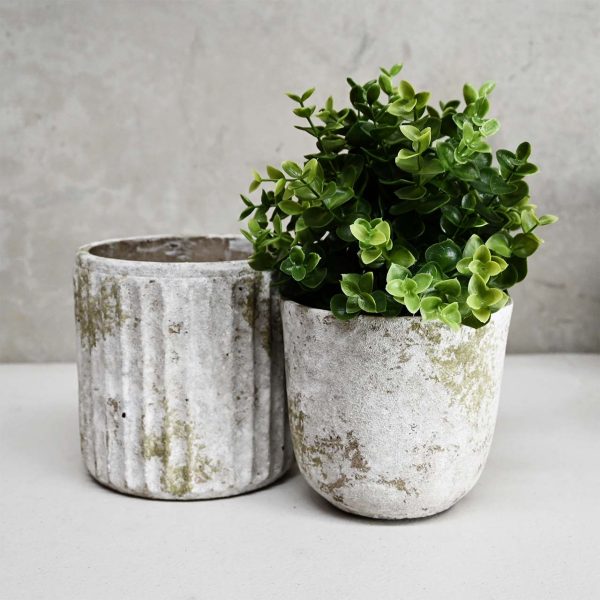 Two white pots with a green plant in them, showcasing modern garden styles.