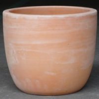 An orange terracotta pot sitting on a concrete floor for feature plants