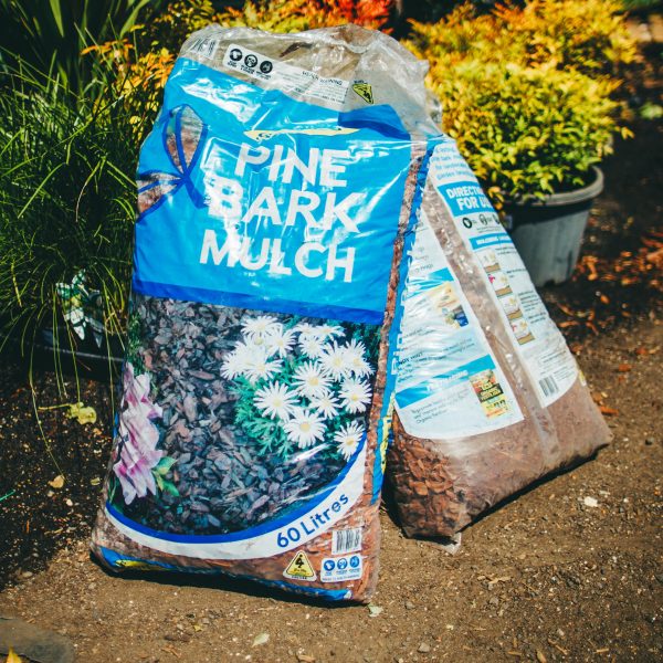 A bag of Searles Mulch Pine Bark 60L sitting on the ground.