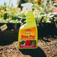 A bottle of Searles Rose Pro Insect & Disease Spray 1L, an effective insect and disease spray, sits on the ground.