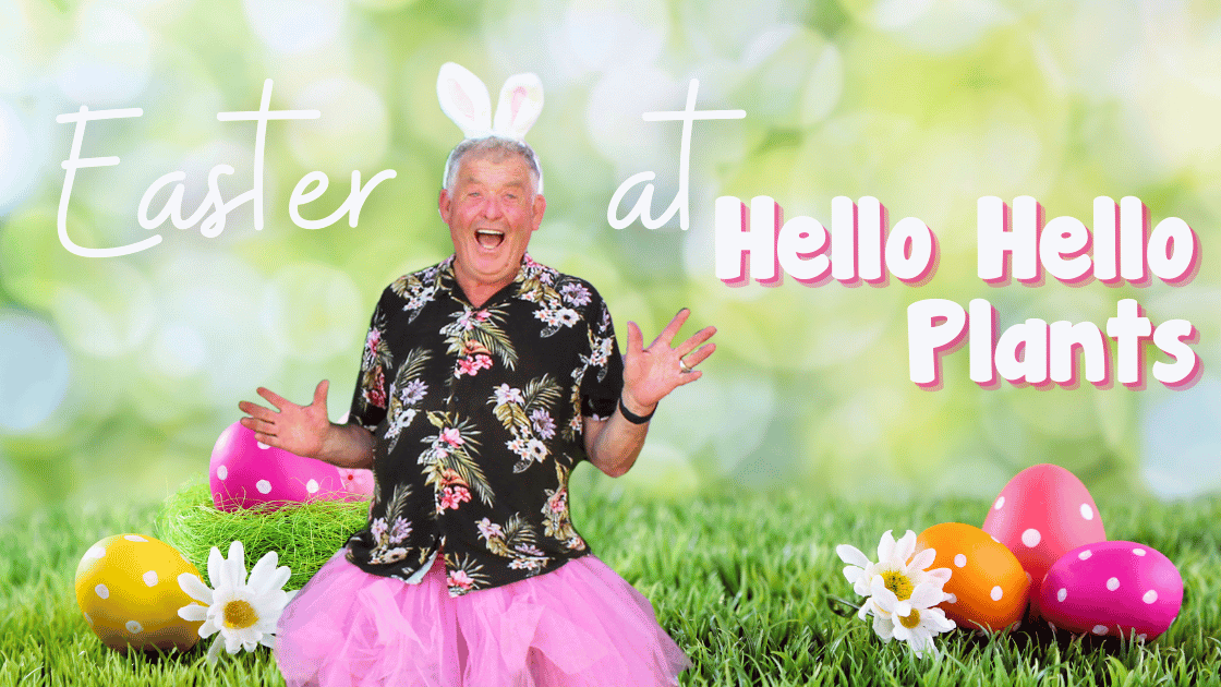 Easter Weekend at Hello Hello Plants