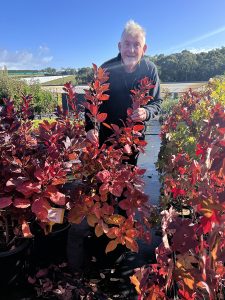 Elderly man smiling behind vivid red and orange top indoor plants in a sunny nursery setting.